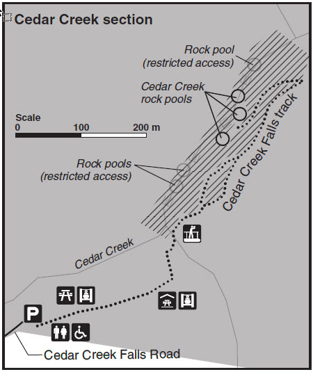 Tamborine Walking Track Map - Cedar Creek Section