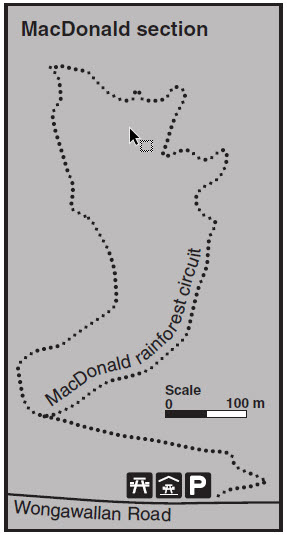 Tamborine Walking Track Map - MacDonald Section