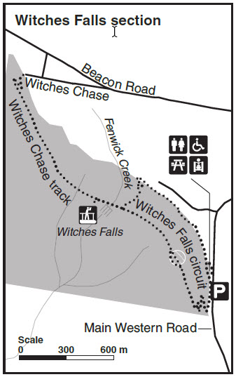 Tamborine Walking Track Map - Witches Falls Section